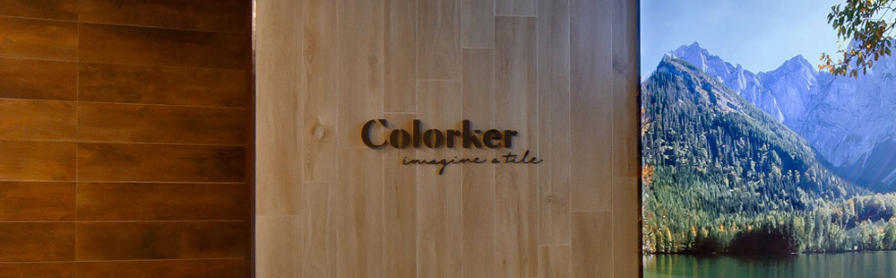 Interiores visita Colorker