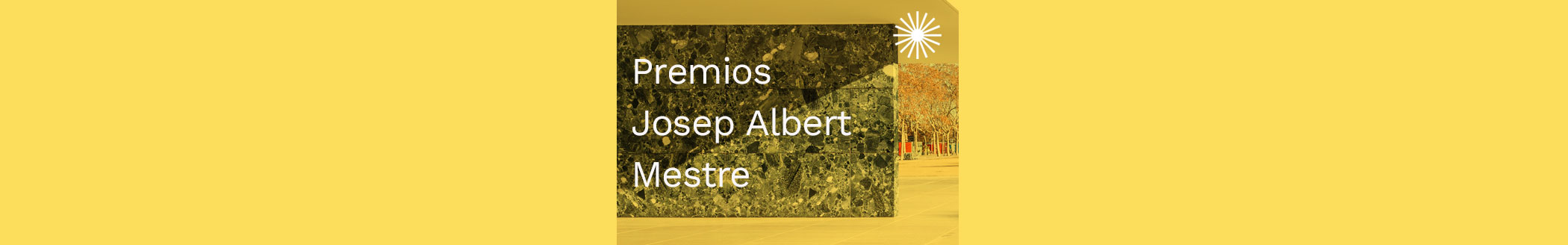 Premios Josep Albert Mestre